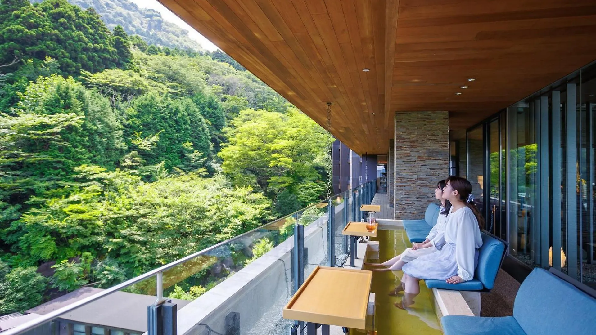 Hakone Kowakien Hotel Ryokan