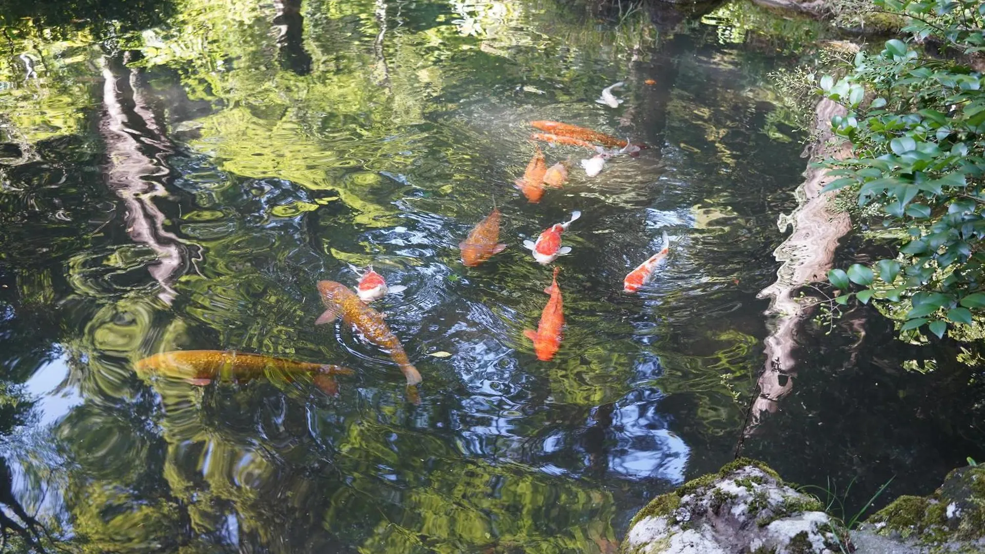 Hakone Kowakien Hotel