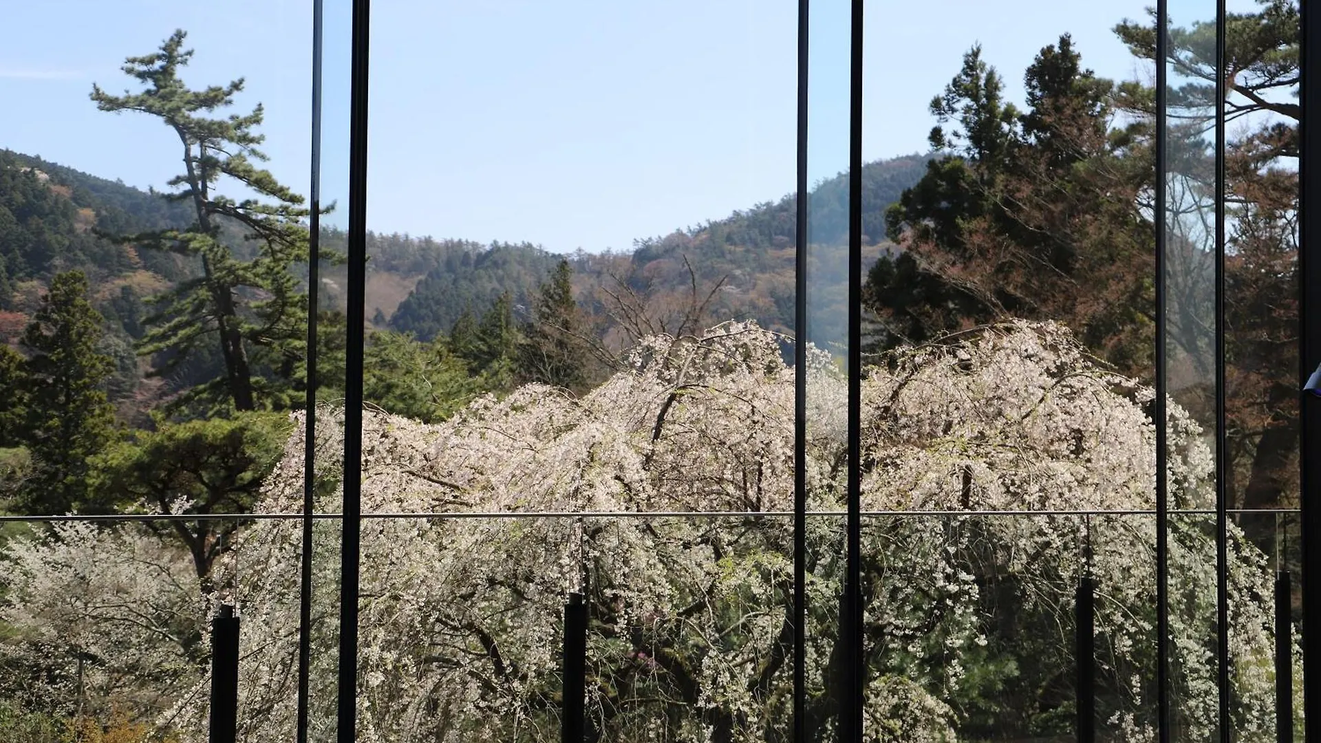 Hakone Kowakien Hotel Ryokan